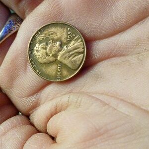Rare 1957 D wheat penny